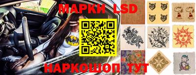 ГАЛЛЮЦИНОГЕННЫЕ ГРИБЫ Шебекино