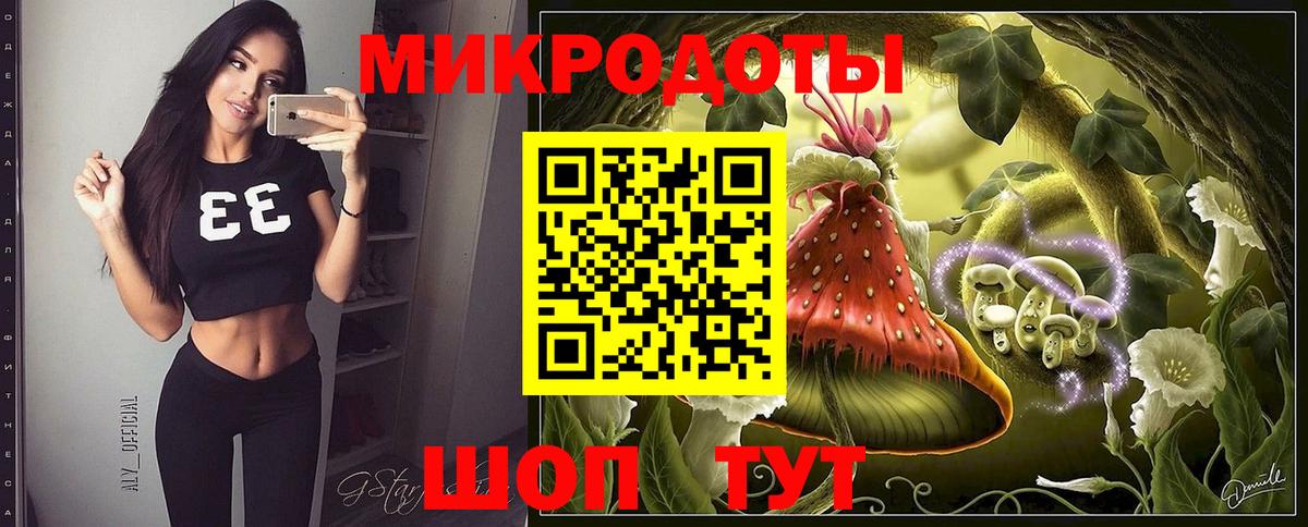 Галлюциногенные грибы Psilocybine cubensis Белогорск